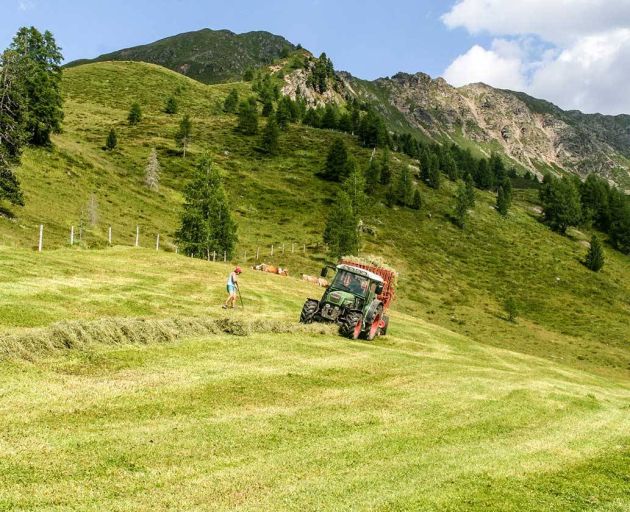 Heuernte auf der Alm