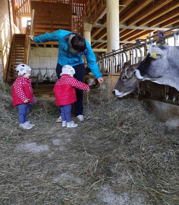 I bambini aiutano a nutrire le mucche