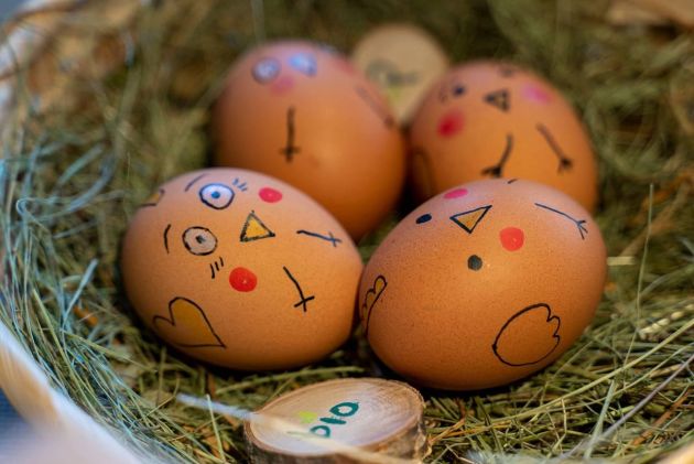Leckere Eier von unseren Hühnern