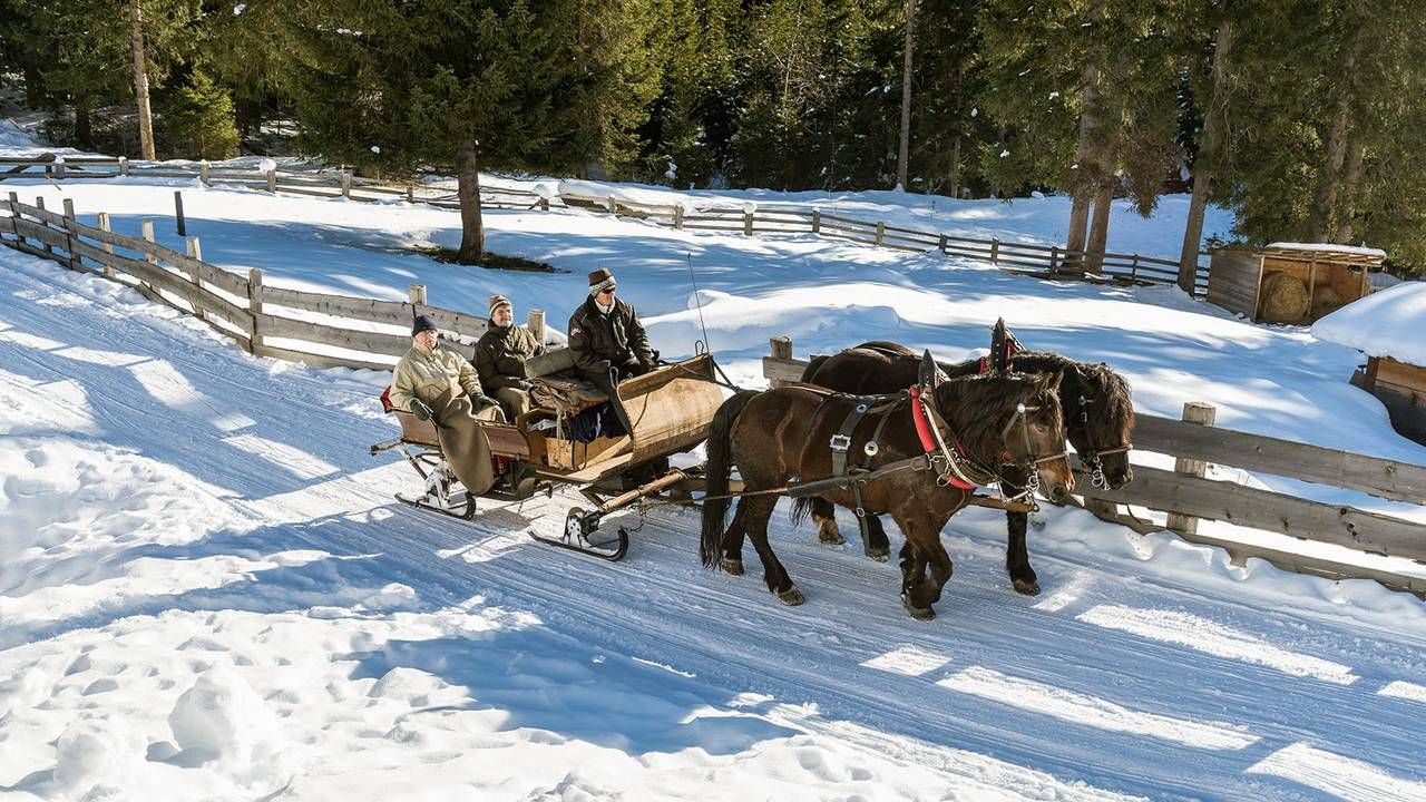 Romantica corsa in slitta trainata da cavalli in Val Casies